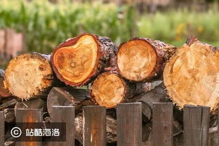 先提升行業效率,再切供應鏈金融, 真木網 為貿易商提供木材 b2b 平臺