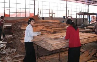 因缺少原料 緬甸近80%木材加工廠停工