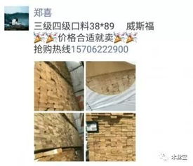 找原木,找板材,在這里,2018年6月22日,精品木材銷售信息,履約思源,不忘初心 政務 網