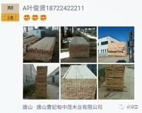 找原木,找板材,在這里,2017年9月19日 ,精品木材 銷售信息,履約思源,不忘初心