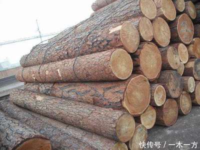 創秋木業資訊:報告預測美國木工需求將每年增長2.4%