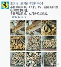 找原木,找板材,在這里,2017年12月4日,精品木材銷售信息,履約思源,不忘初心 財經 網