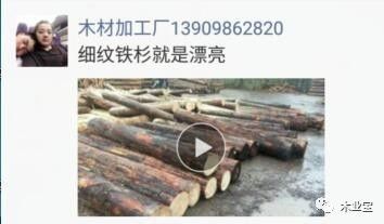 找原木,找板材,在這里,2017年10月17日,精品木材銷售信息,履約思源,不忘初心 財經 網