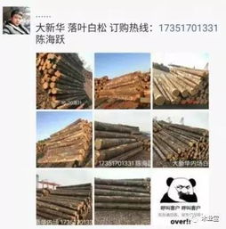 找原木,找板材,在這里,2017年4月21日 ,精品木材銷售信息,履約思源,不忘初心 