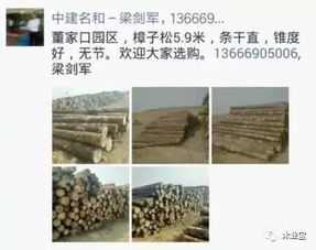 找原木,找板材,在這里,2017年4月8日 ,精品木材銷售信息,履約思源,不忘初心 其它 網